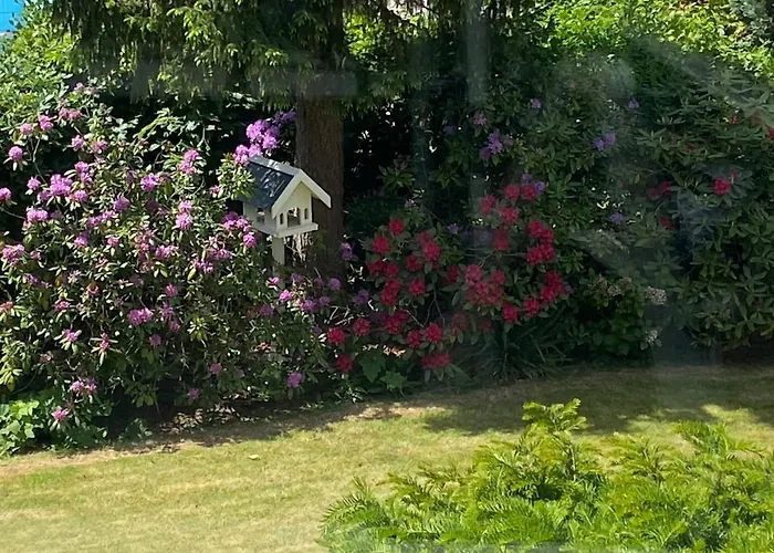 Sunshine 16 * شاربوتس